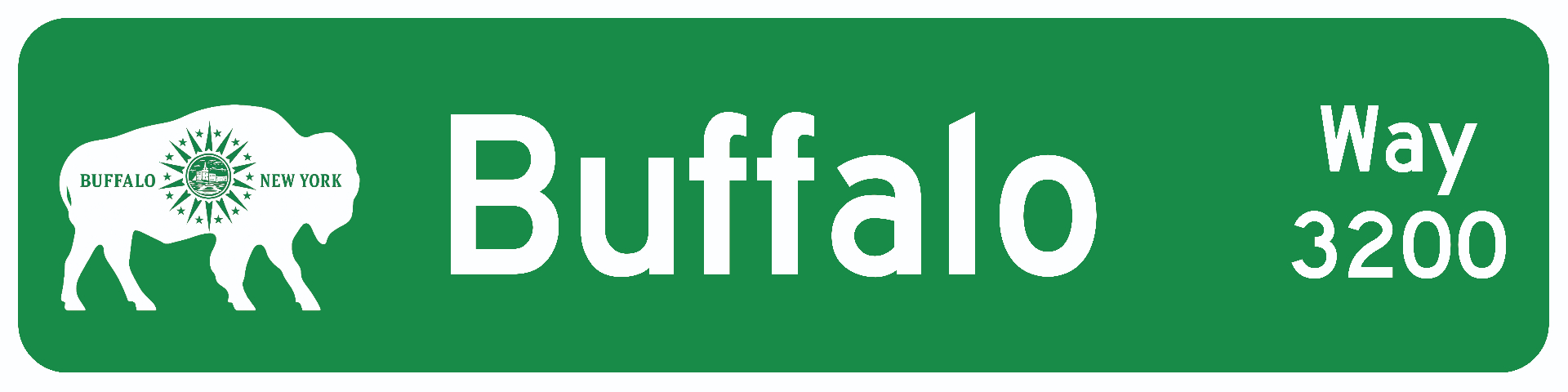 Buffalo, NY street sign keychain